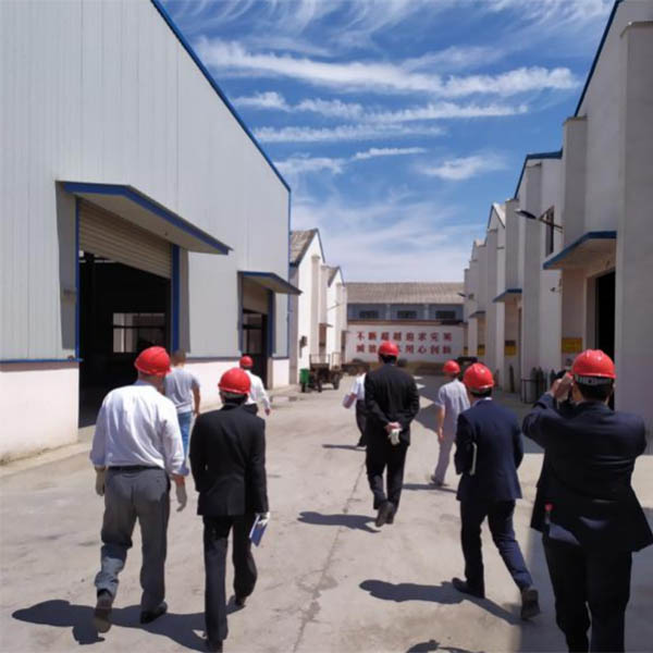 Welcome government leaders and experts to carry out safety inspection on our plant1